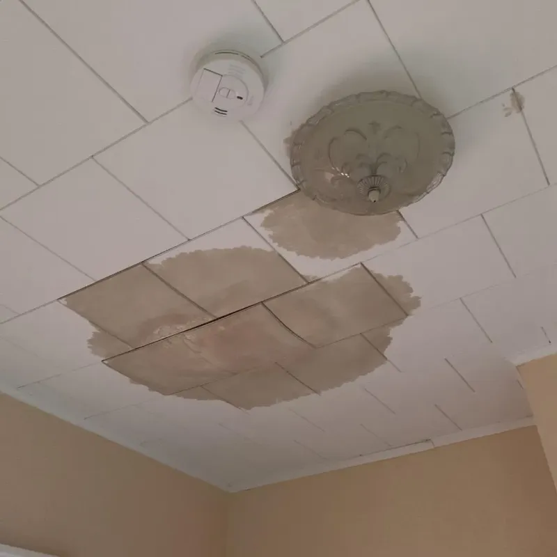 Ceiling Water Damage Repair in Hartsville, TN