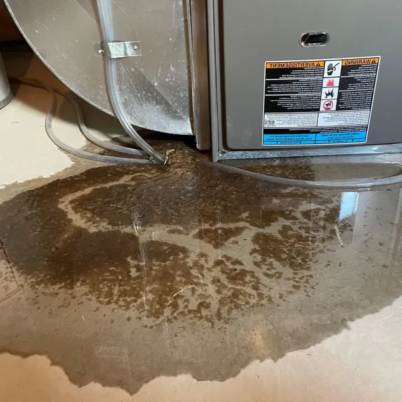 Pipe Burst and Leak Restoration in Hartsville, TN