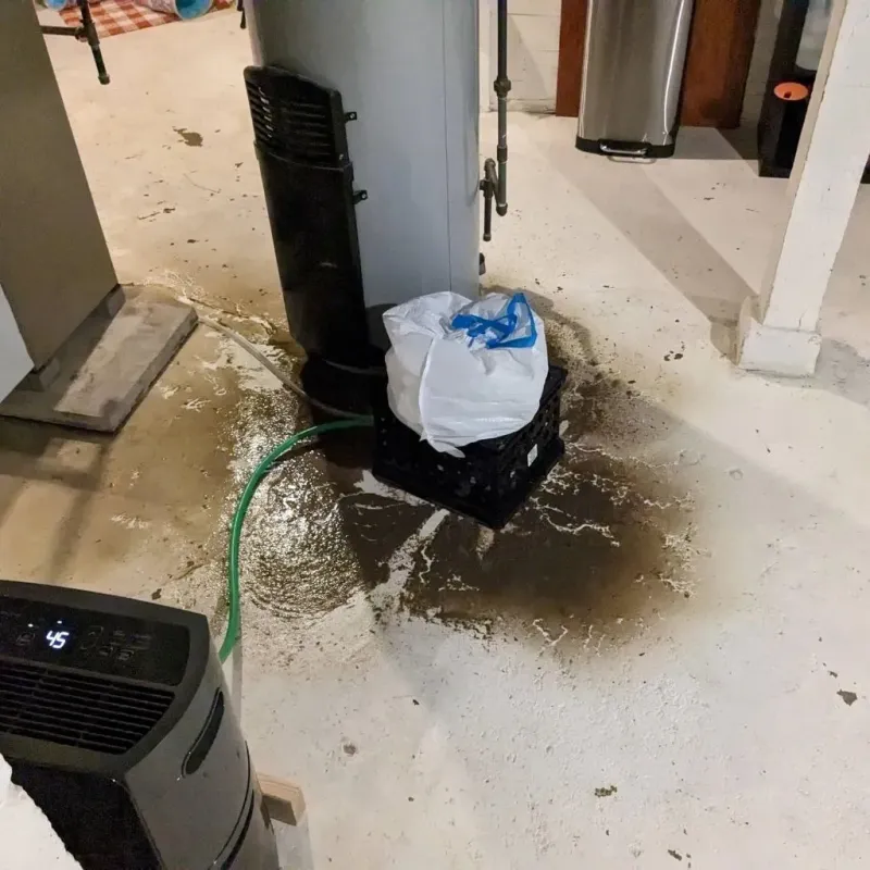 Sewage Backup Cleanup Service in Hartsville, TN